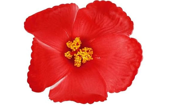Hibiscus Hair Clip