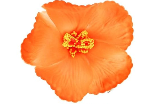 Hibiscus Hair Clip