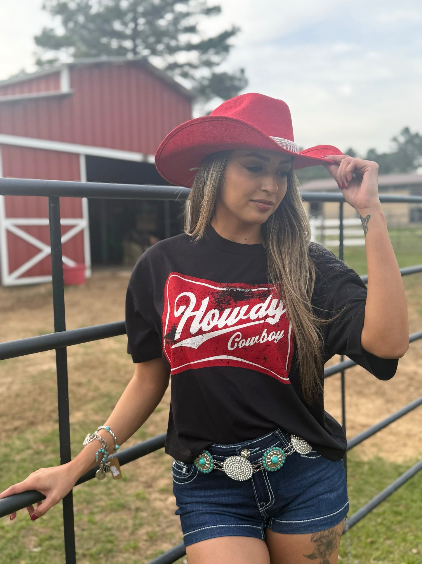 Howdy Cowboy