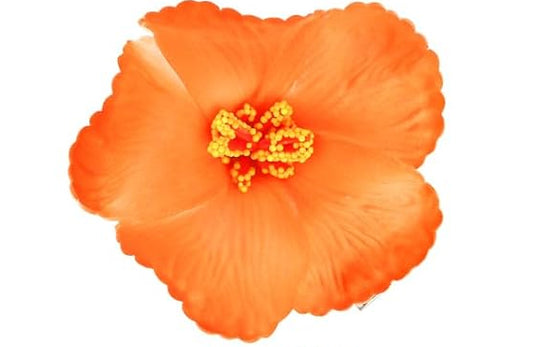Hibiscus Hair Clip