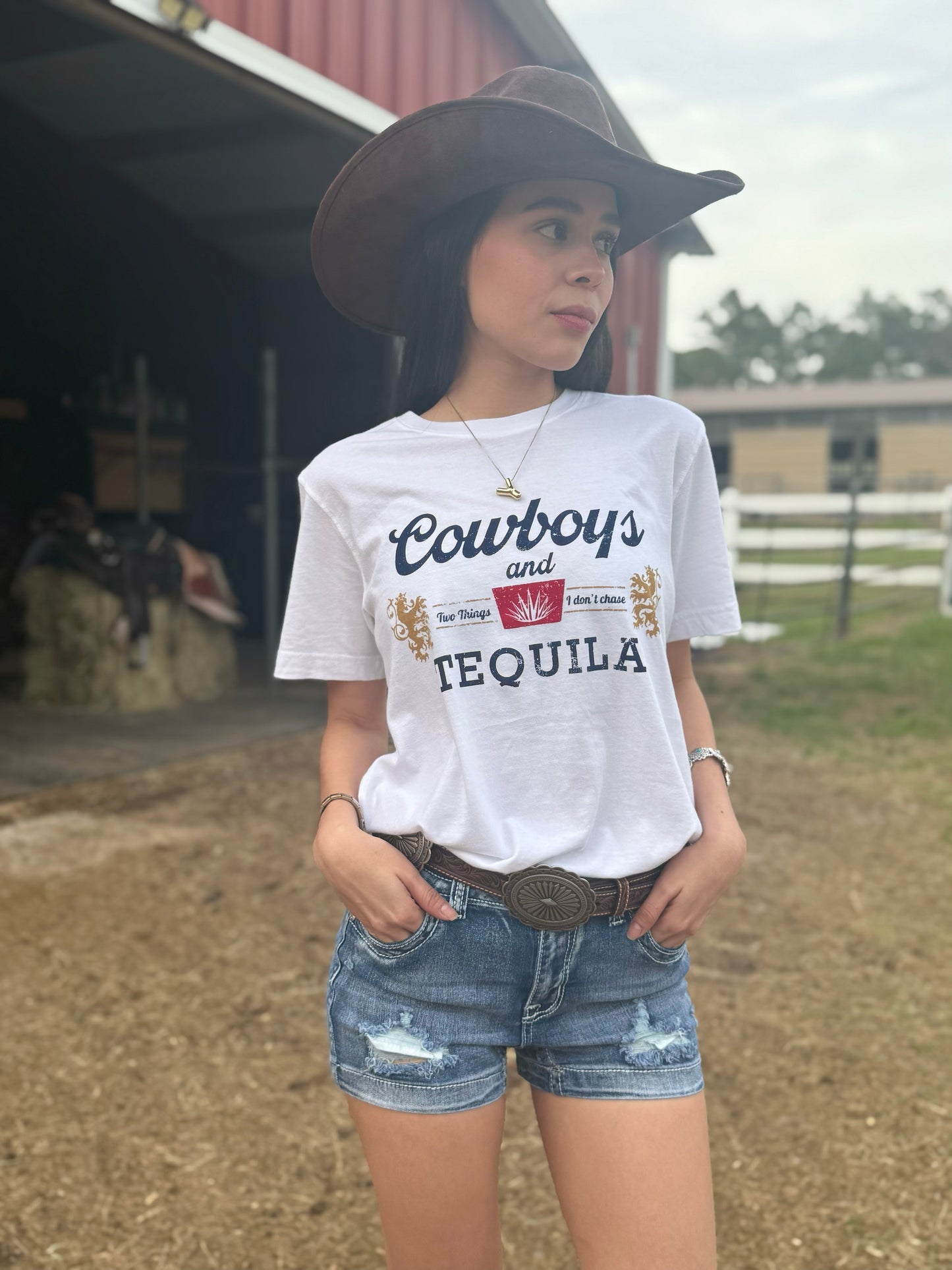 Cowboys And Tequila