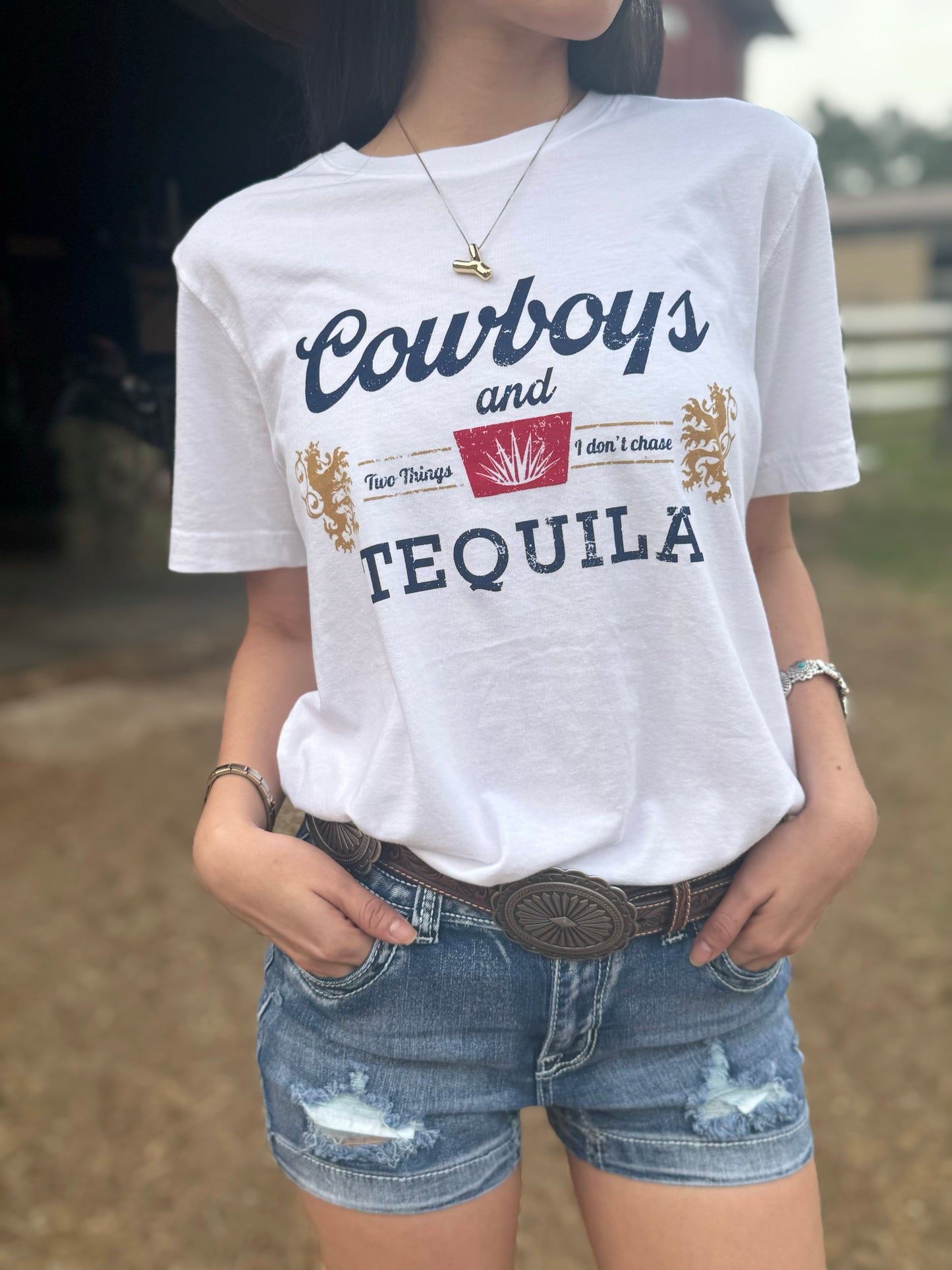 Cowboys And Tequila